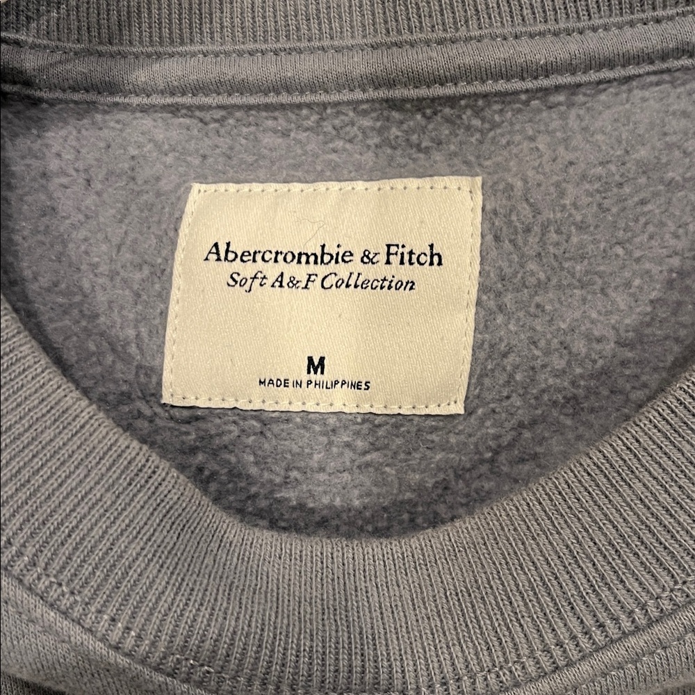 Abercrombie Gray Lake Tahoe Sweatshirt - Picture 4 of 4